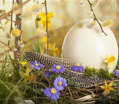 Das Garten-Paradies für Osterhase und Co.