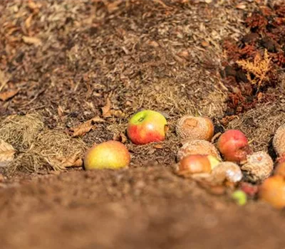 Kompost – Das Gold des Gartens kennenlernen