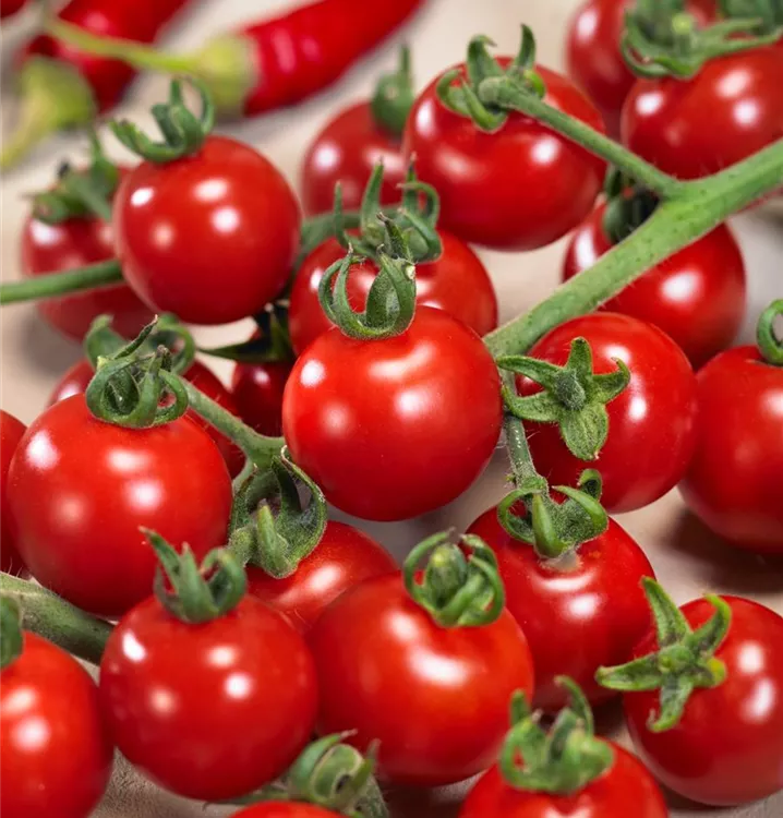 Tomate 'Picolino'