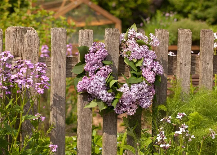Schick eingerahmt: Gartenzäune sind nicht nur nützlich sondern auch schön