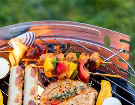 Smoker, Gas oder Holzkohle - Wie schmeckt Grillen am besten?