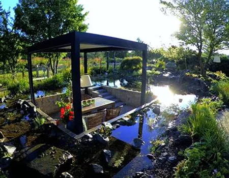 Gartengestaltung - Wassergarten